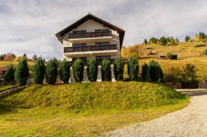 Bucegi Panorama